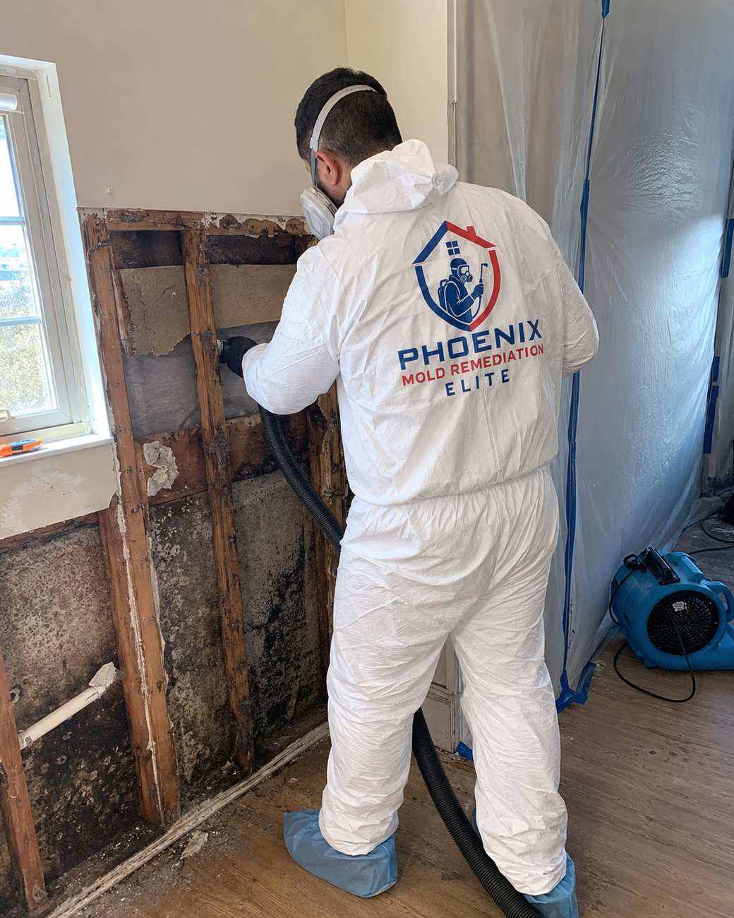HEPA-vacuuming of mold spores from a treated surface